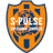 Shimizu S-Pulse
